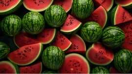 Discover 8 Watermelon Health Benefits For The Summer 