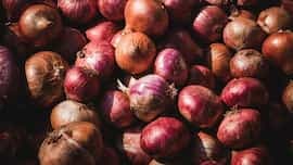 Onion Export Ban Lifted By Government For 6 Countries