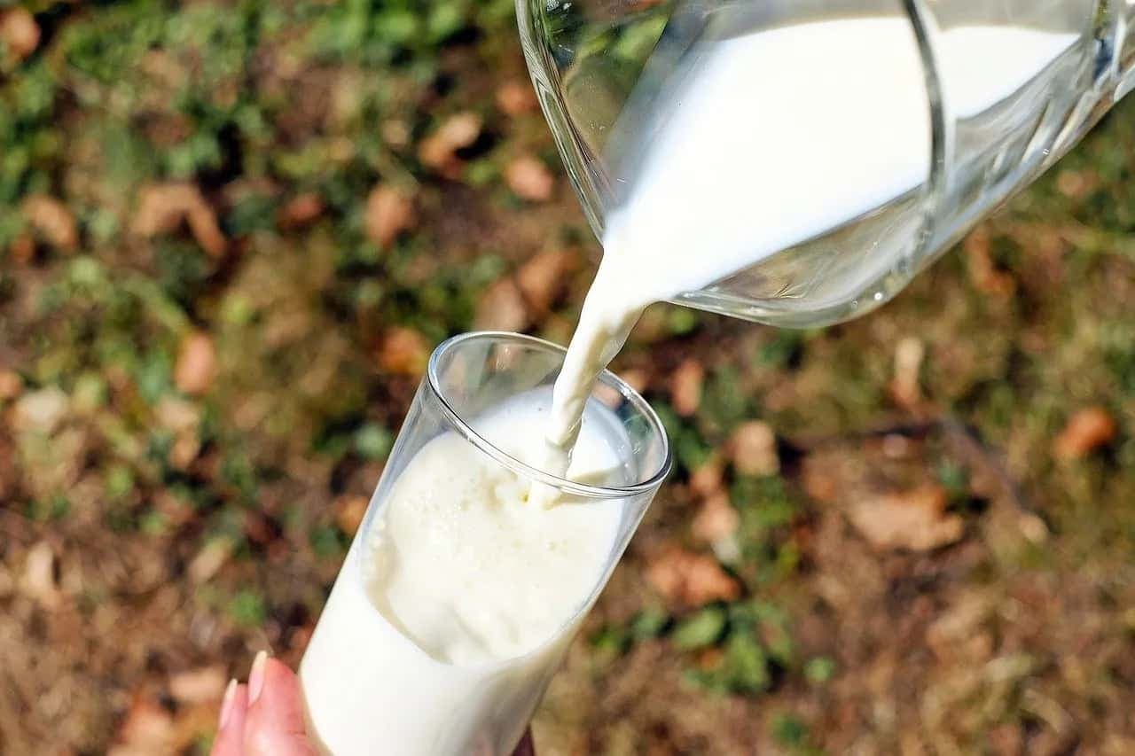 Can Milk Consumption Increase Your Cholesterol Levels? 