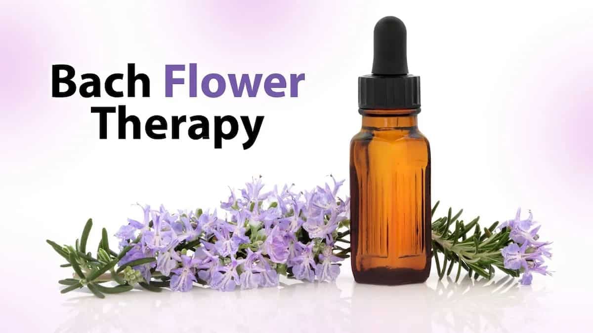 Bach Flower Therapy: How Can This Enhance Immunity During Pandemic? 
