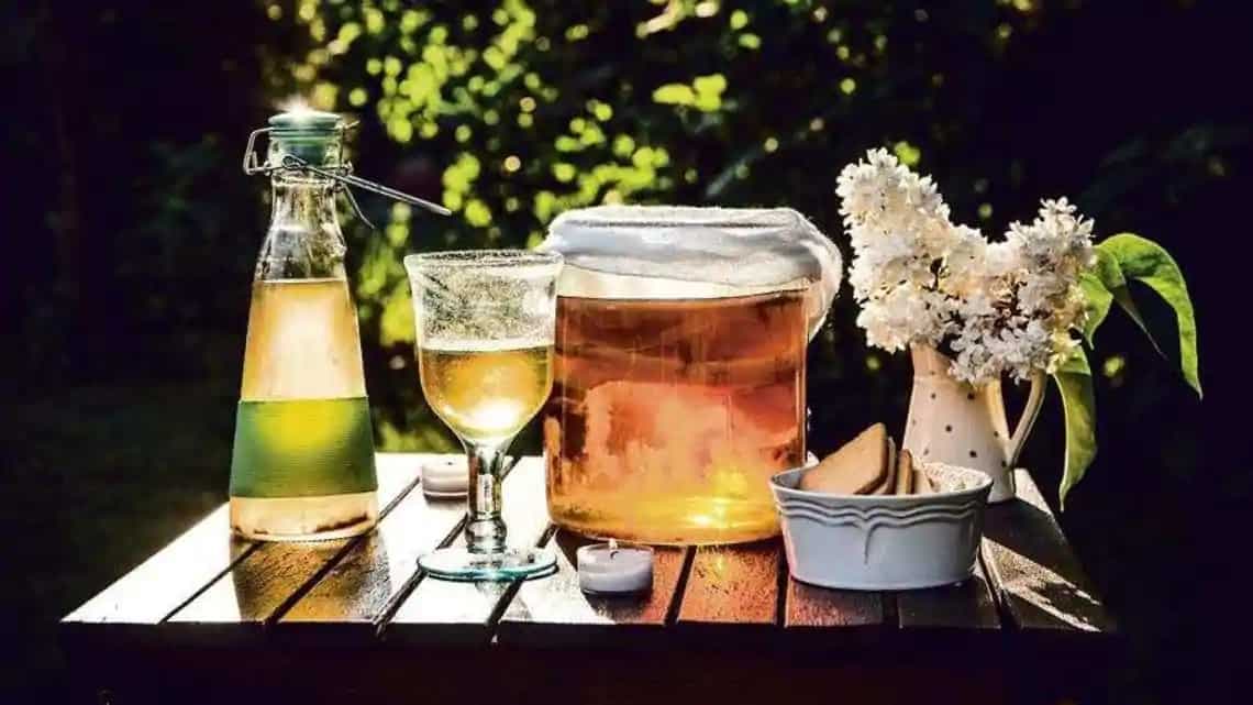 The ‘kombucha’ connection