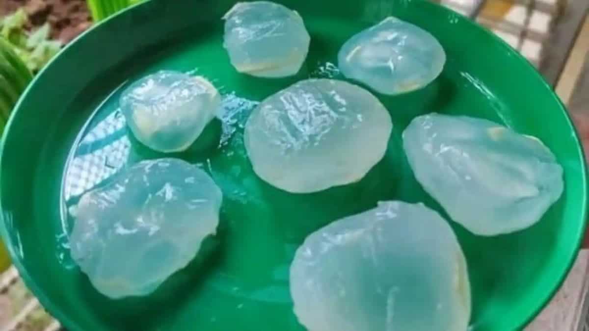 Meet ice apple, a superfood for weight loss