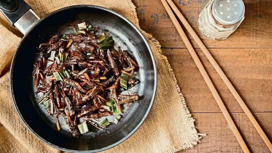 Are insects the future of food?