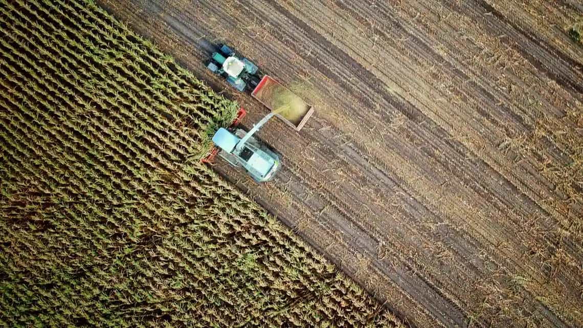 Greta Thunberg calls for change in farming