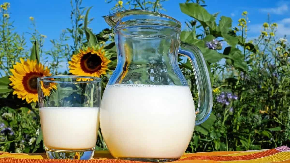 Do You Know What Food Items To Avoid With Milk? 