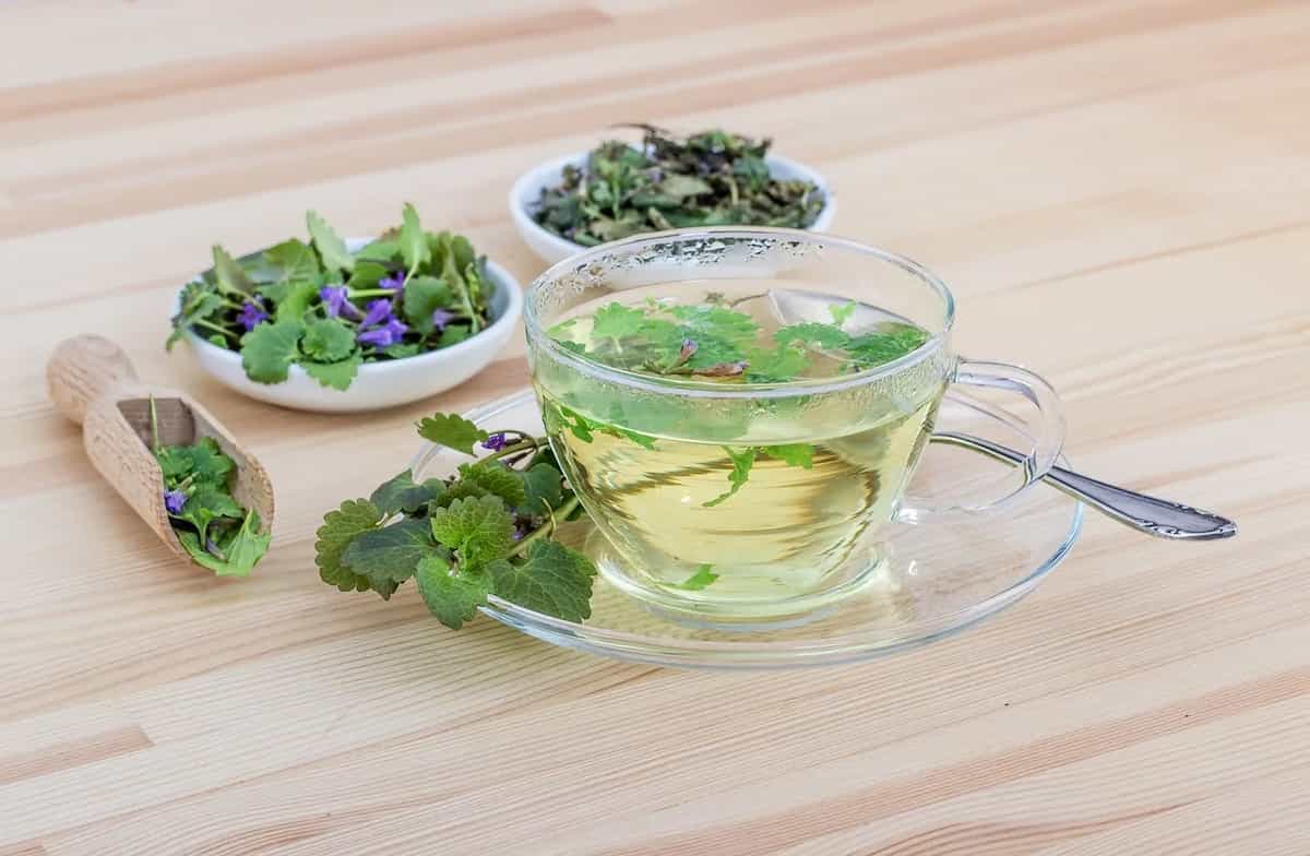 What Is Marjoram Tea? Here’s All You Need To Know About This Wonder Beverage