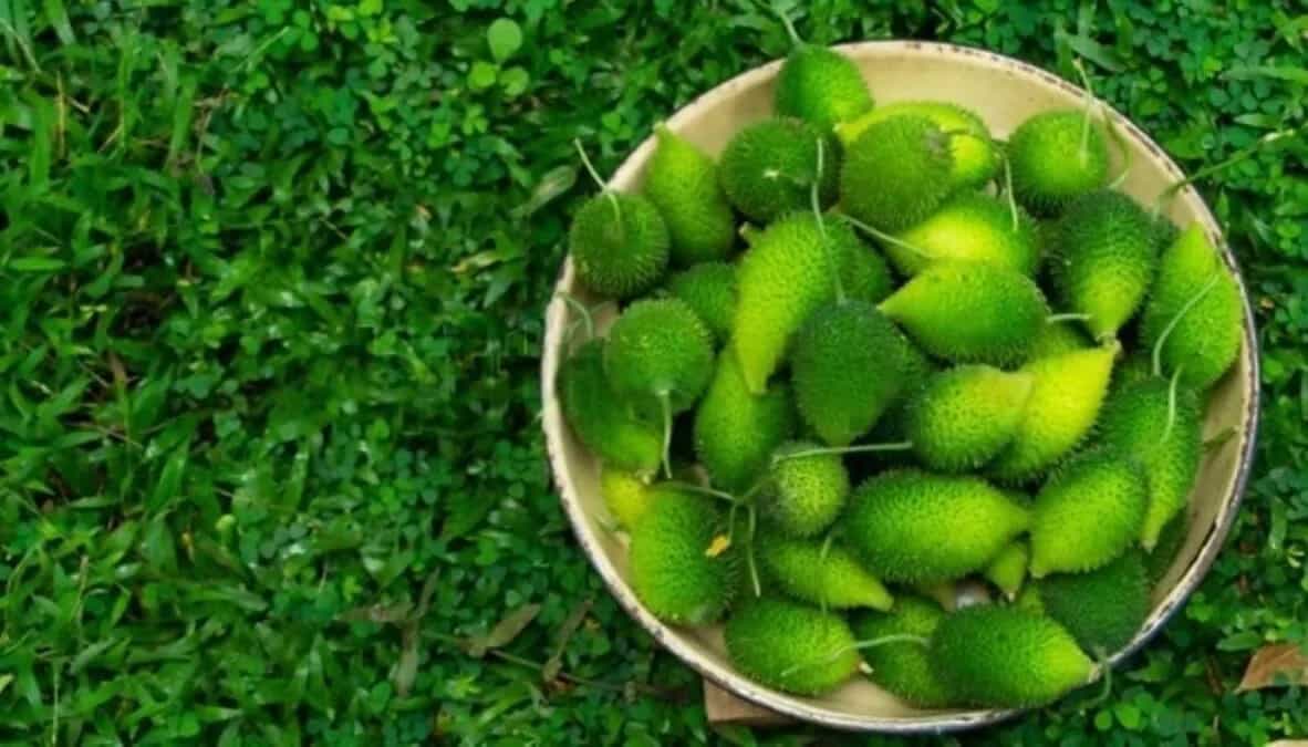 Interesting Ways To Add Spiny Gourd Or Kantola To Your Diet