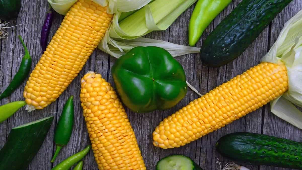 5 Corn Recipes That We Can Have Any Day