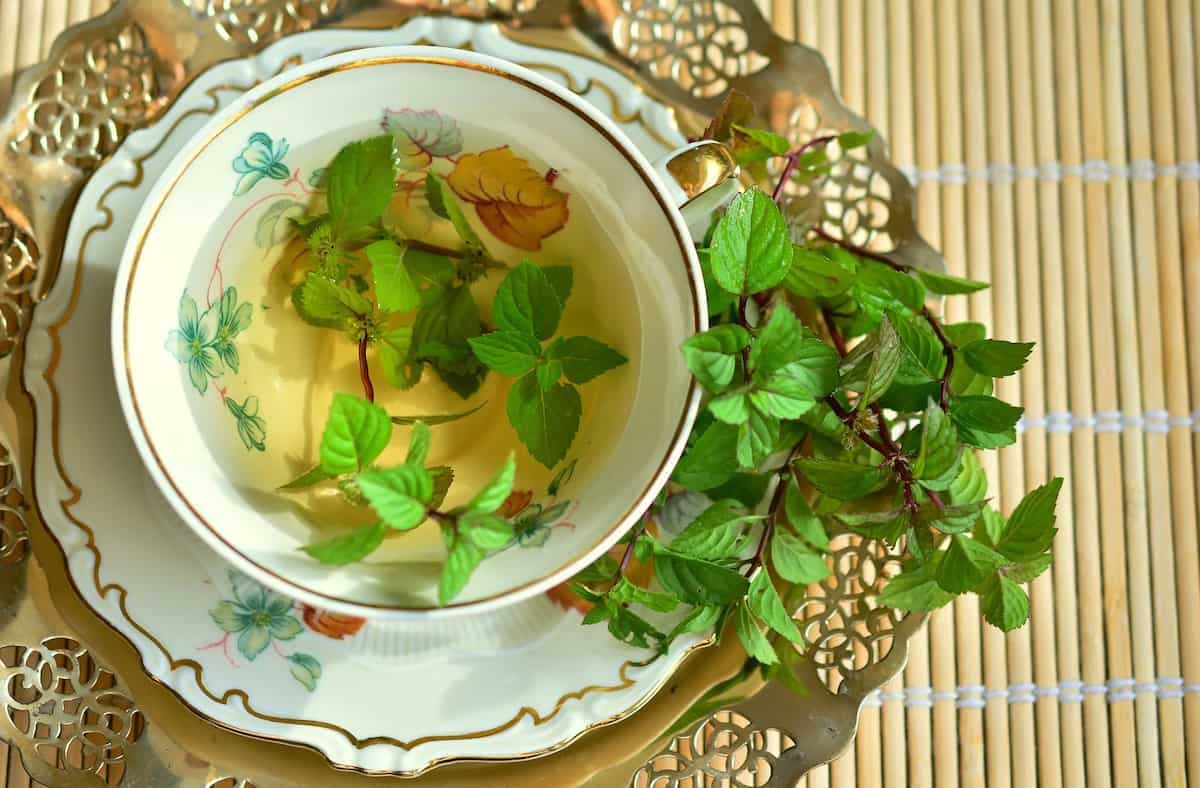 Quiz: It’s time for some immuni-tea!