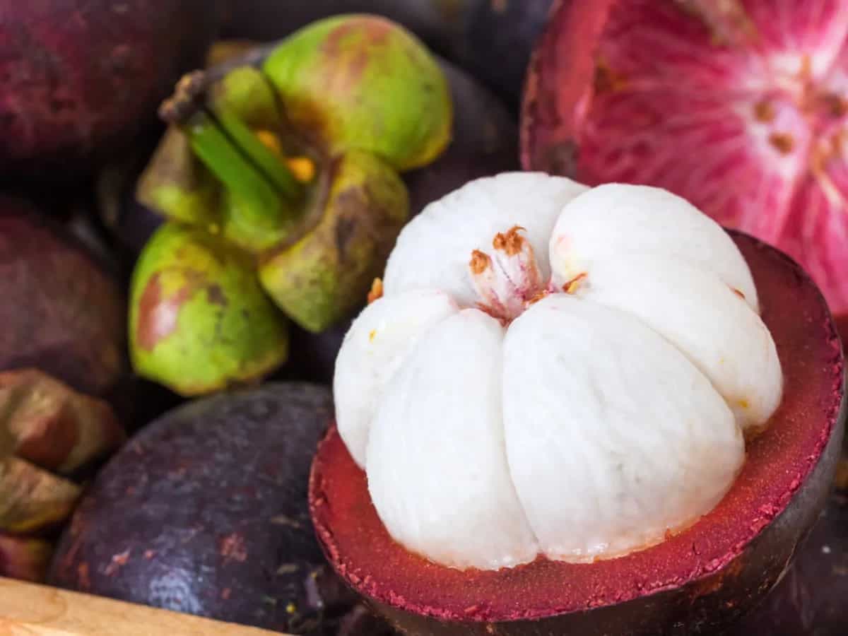 5 Exotic Fruits That Are Available In India