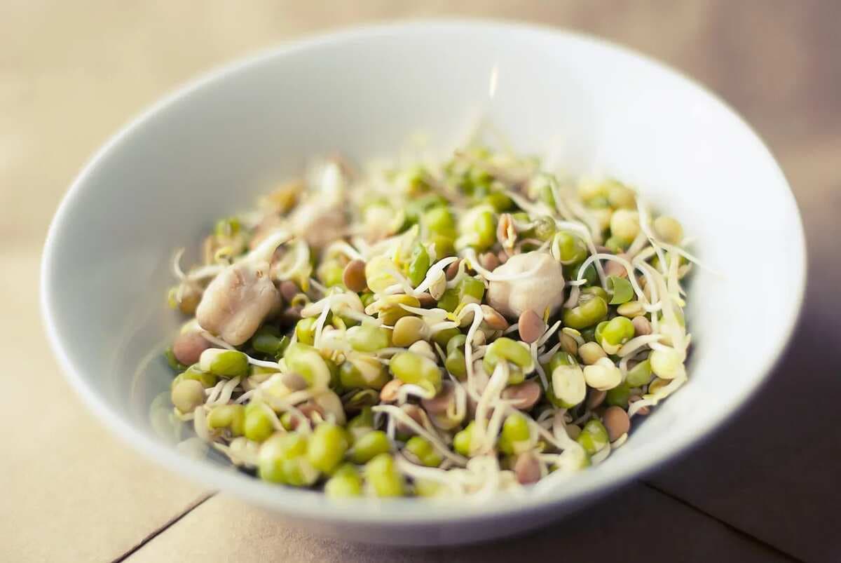 More Than Just Alt Protein: Why Soybean Should Be Part Of Your Diet Today