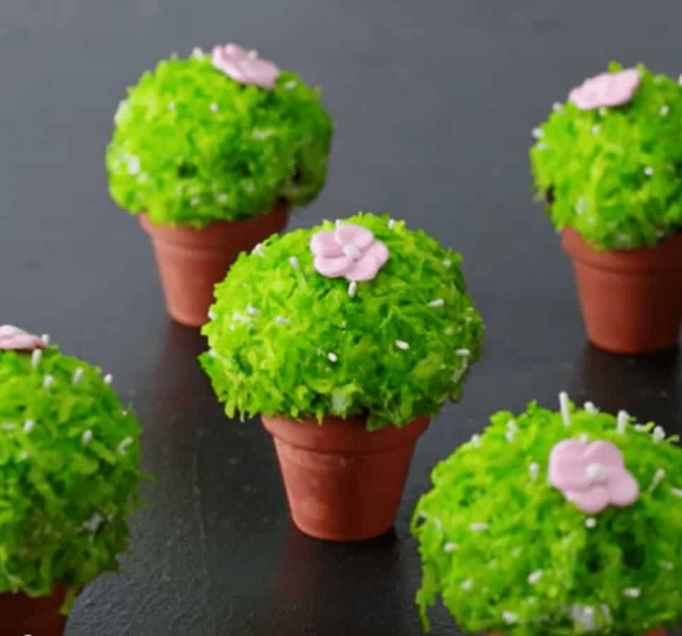 Cactus Snowball: The Perfect Dessert To Blow Your Mind Away