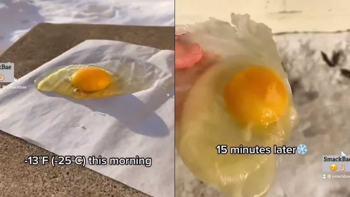 Viral: Man Breaks Egg In Minus 25 °C; What Happens Next Is Sure To Shock You 