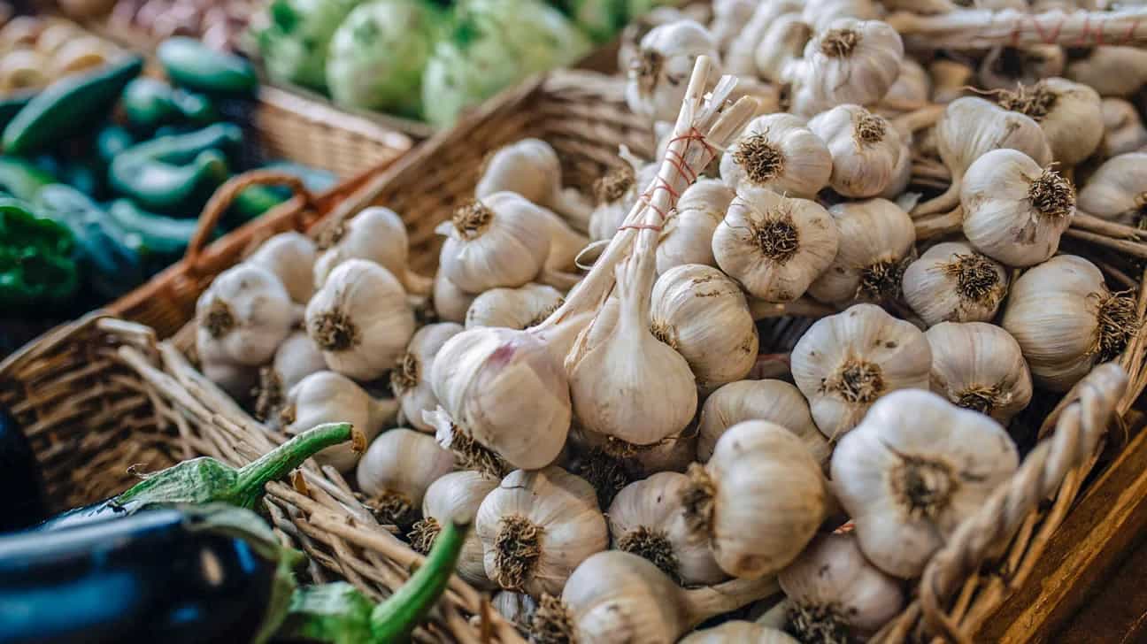 4 Incredible Health Benefits Of Adding Garlic To Your Diet