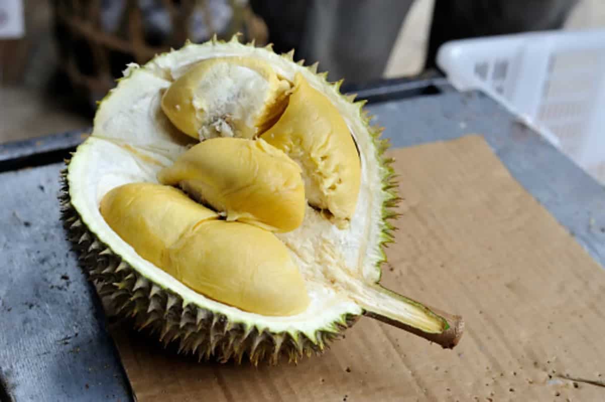Durian: 5 Health Benefits Of This Energising Superfruit