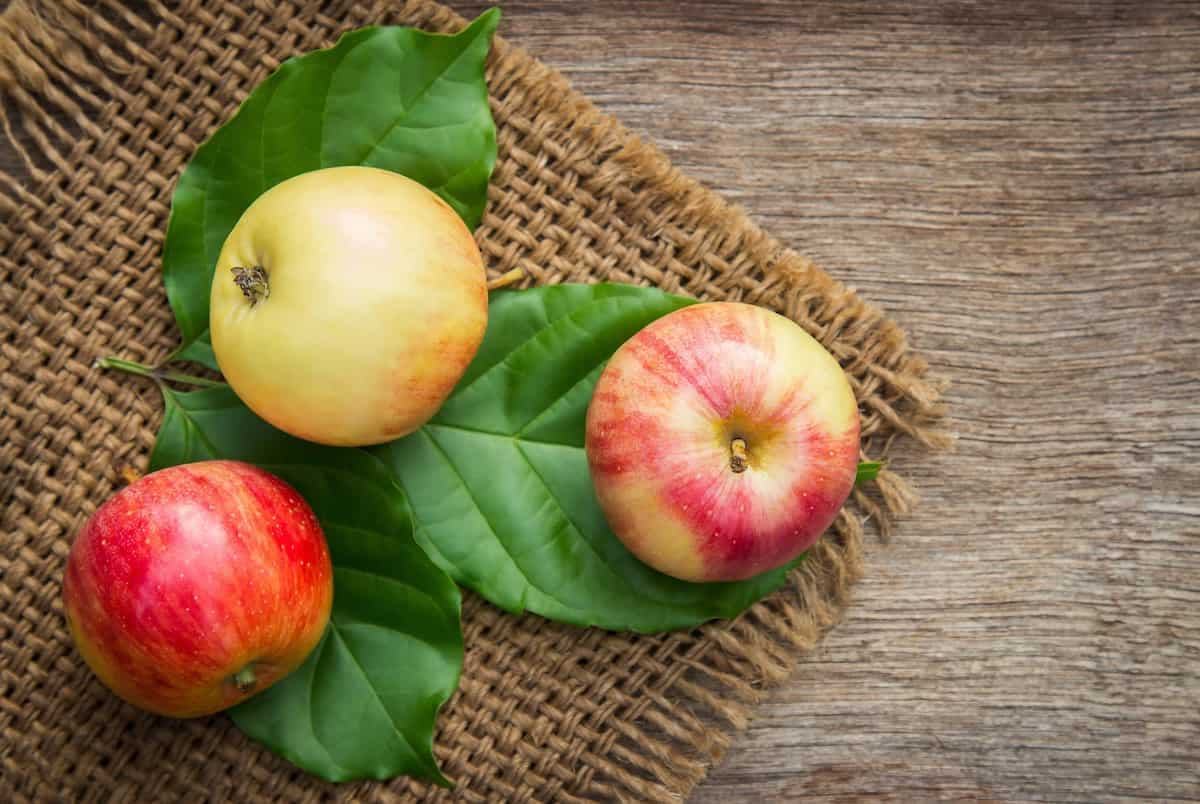 10 Unique Varieties Of Apple From Around The World