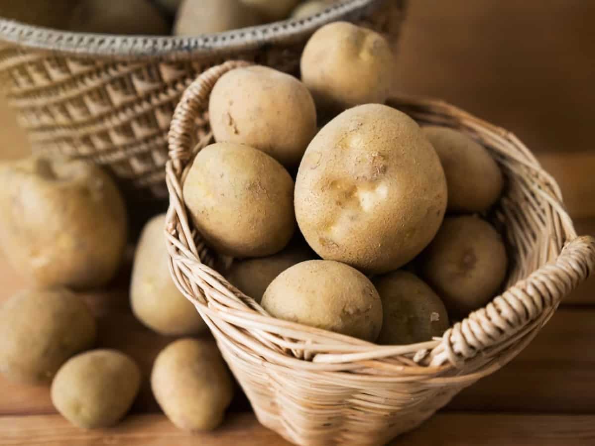 Potato Storage Methods: What Is The Best Way To Keep Them Fresh?