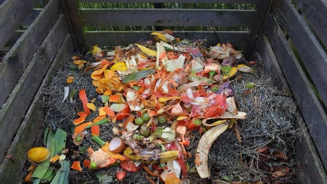 How to Turn Food Waste Into Resources 