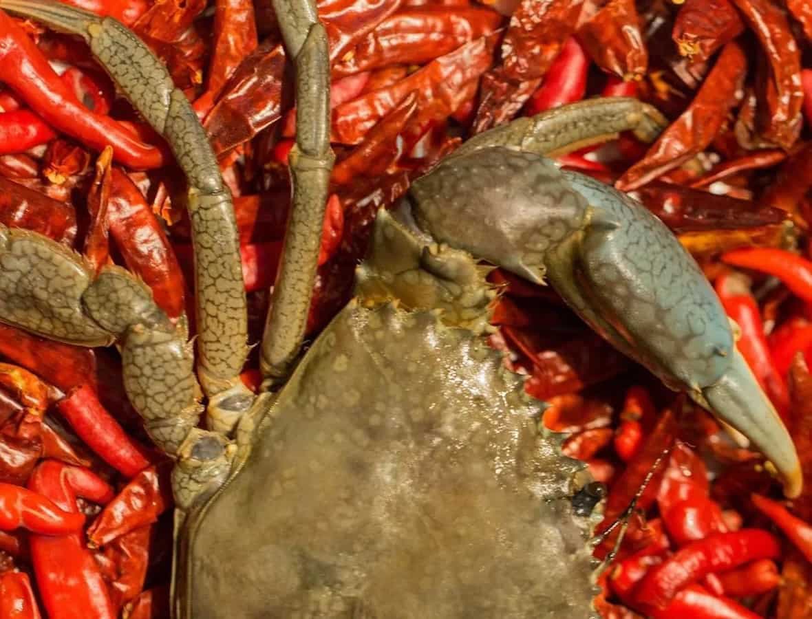 This Asia’s 50 Best Restaurant Which Came To Mumbai From Sri Lanka Is All About Crabs 