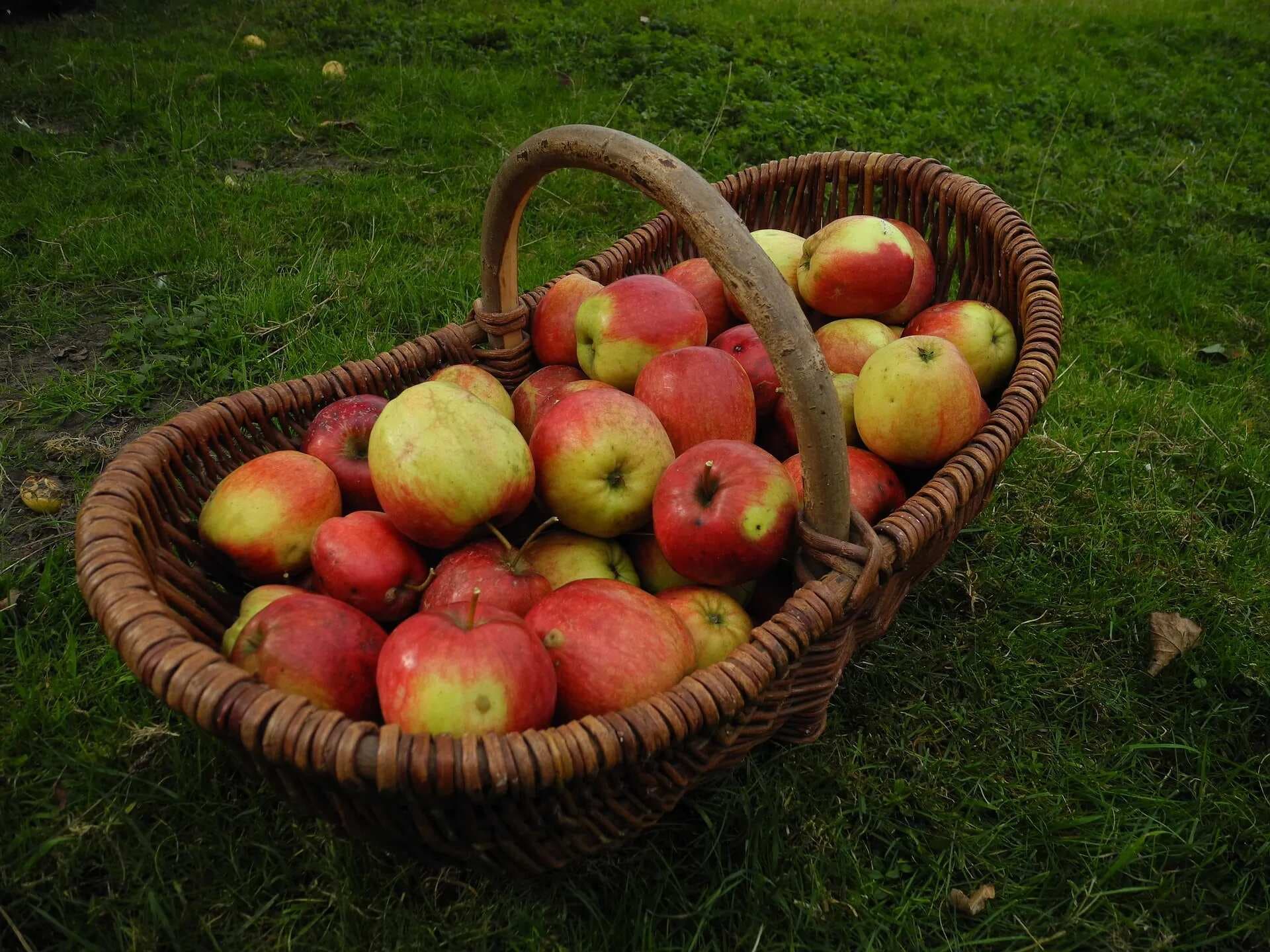 Viral: This Genius Hack To Juice Apple Without Using Blender Is Unbelievable