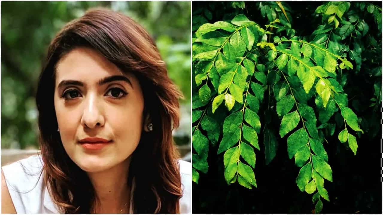 Thought Curry Leaves Are Only To Enhance Your Curries, Nutritionist Pooja Makhija Calls It A 'Superfood' 