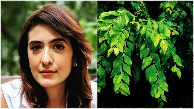 Thought Curry Leaves Are Only To Enhance Your Curries, Nutritionist Pooja Makhija Calls It A 'Superfood' 