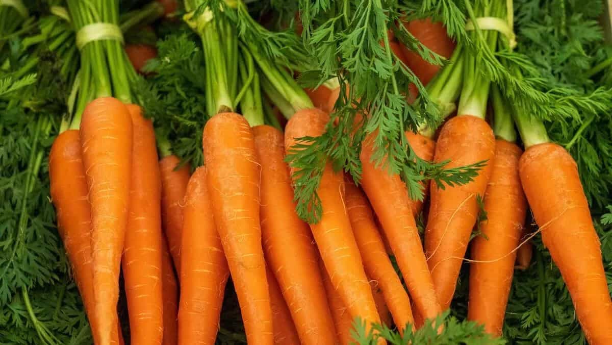 Vitamin A Rich Foods For Healthy Vision