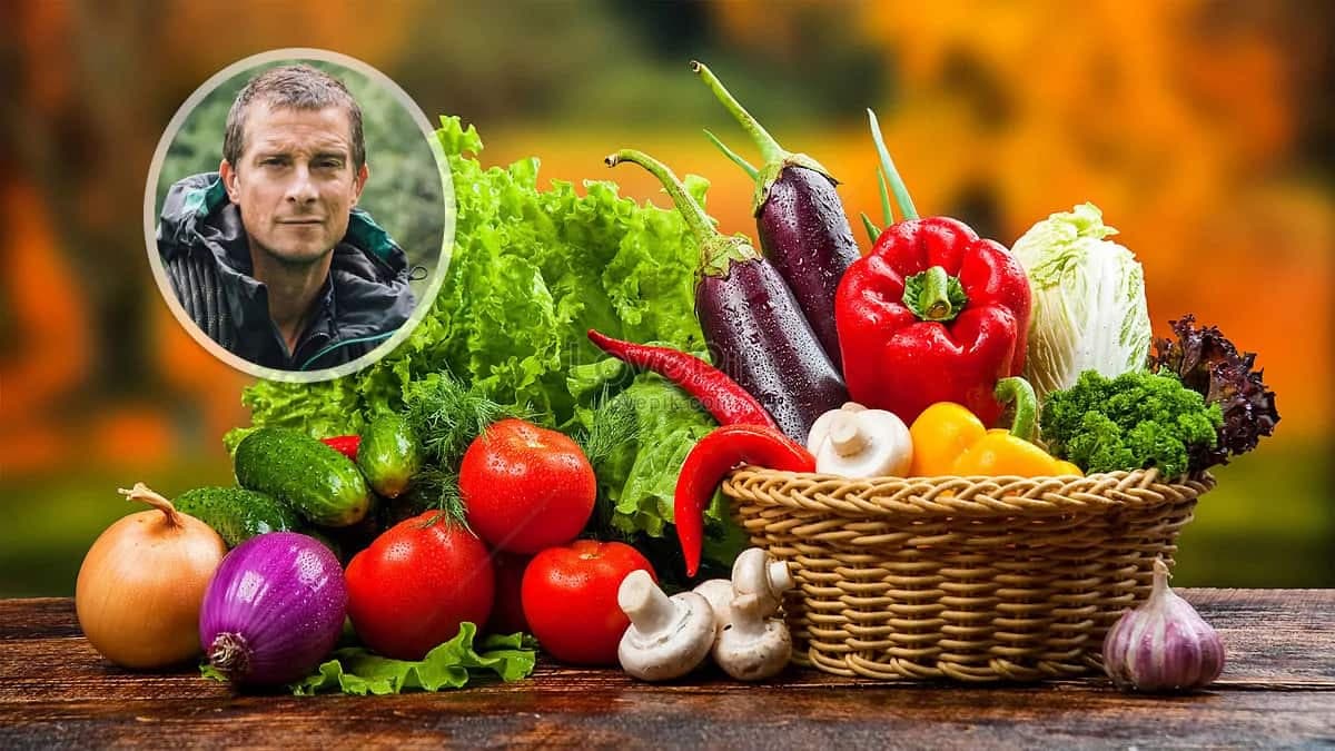 Why Bear Grylls Is Against Veganism And Veggies Now?