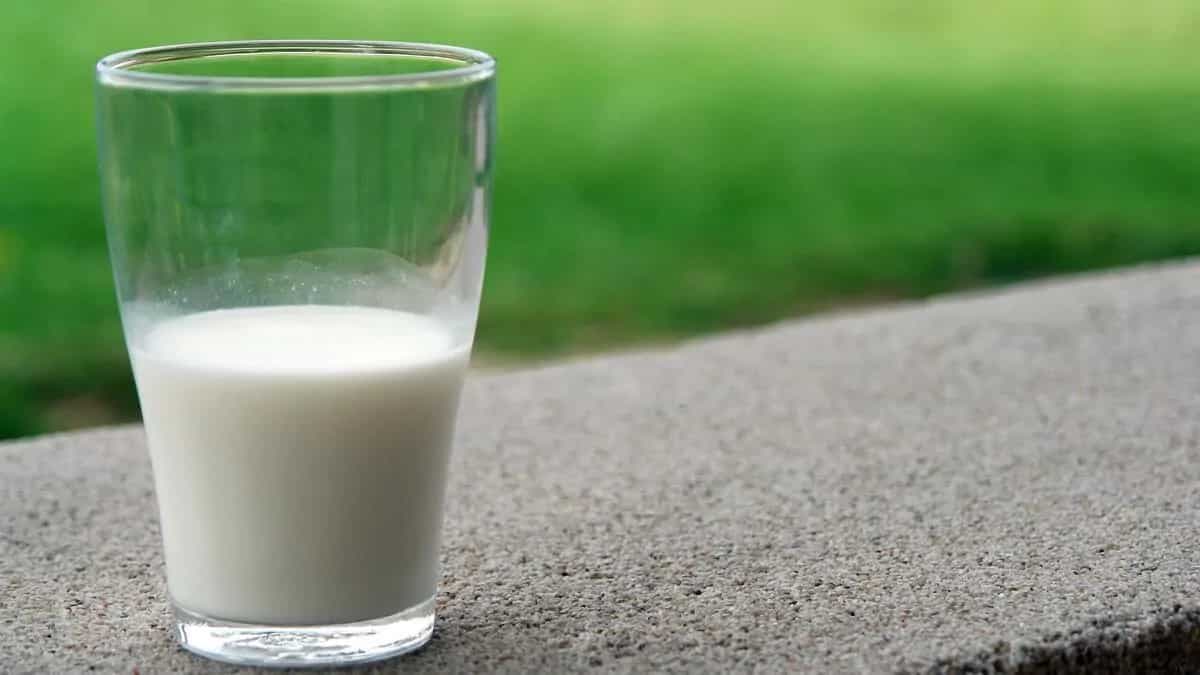 How To Reuse Spoiled And Sour Milk