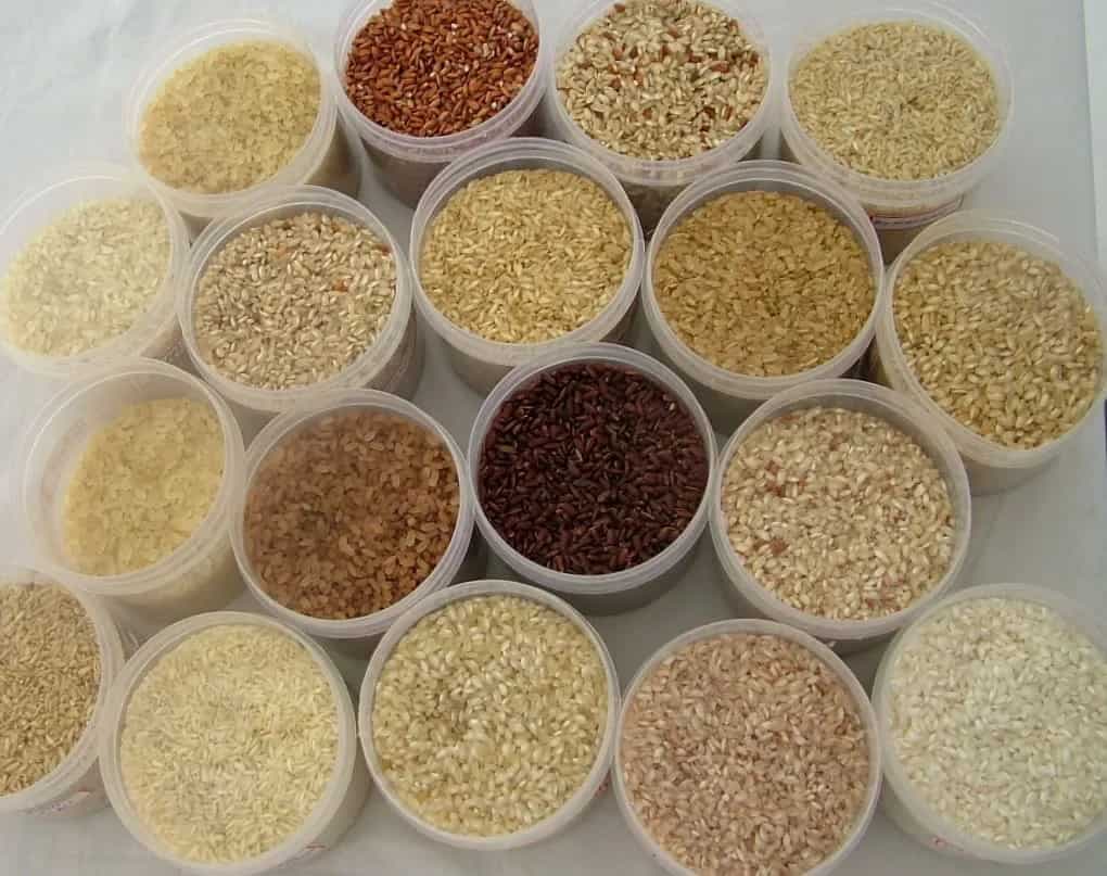 5 Traditional Varieties Of Rice In India