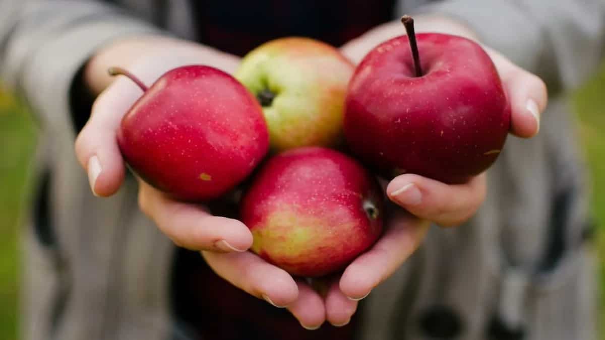 International Eat An Apple Day 2022: Fun Facts About This Fruit