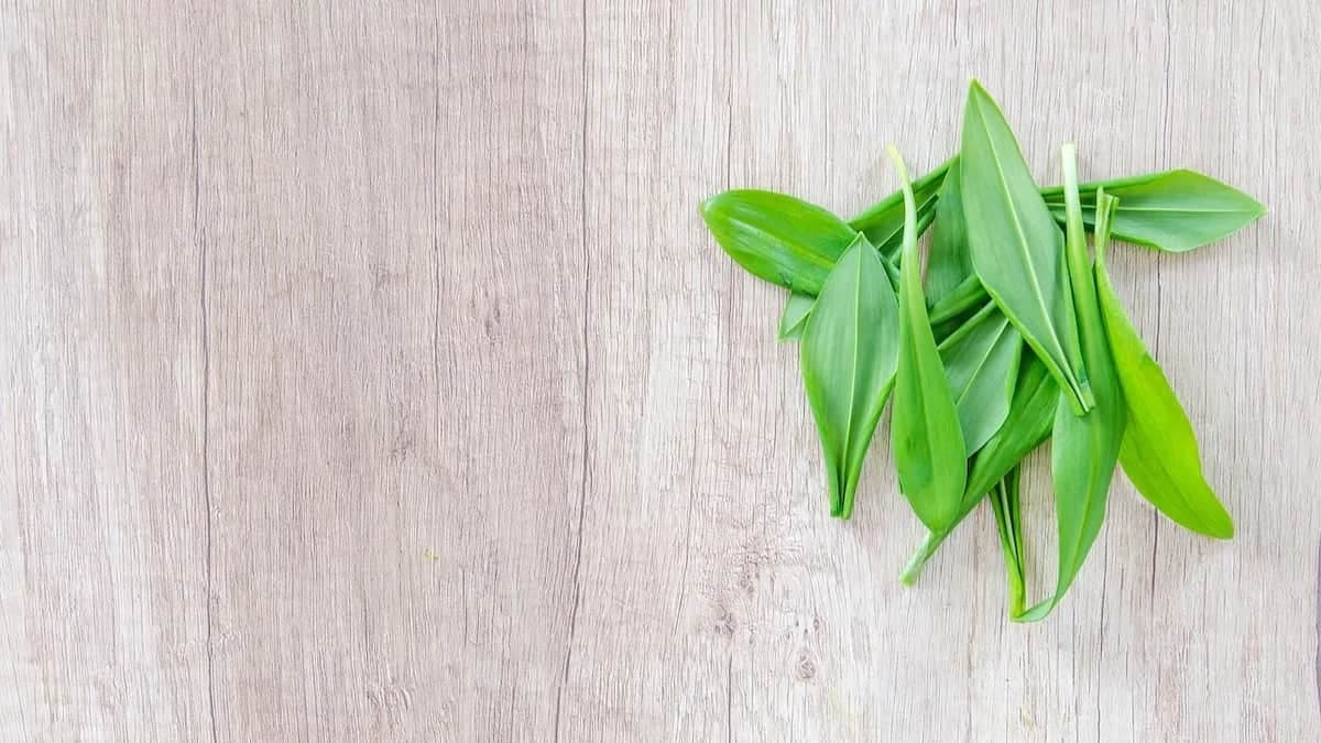 How To Use Wild Garlic In Cooking: Recipe Inside