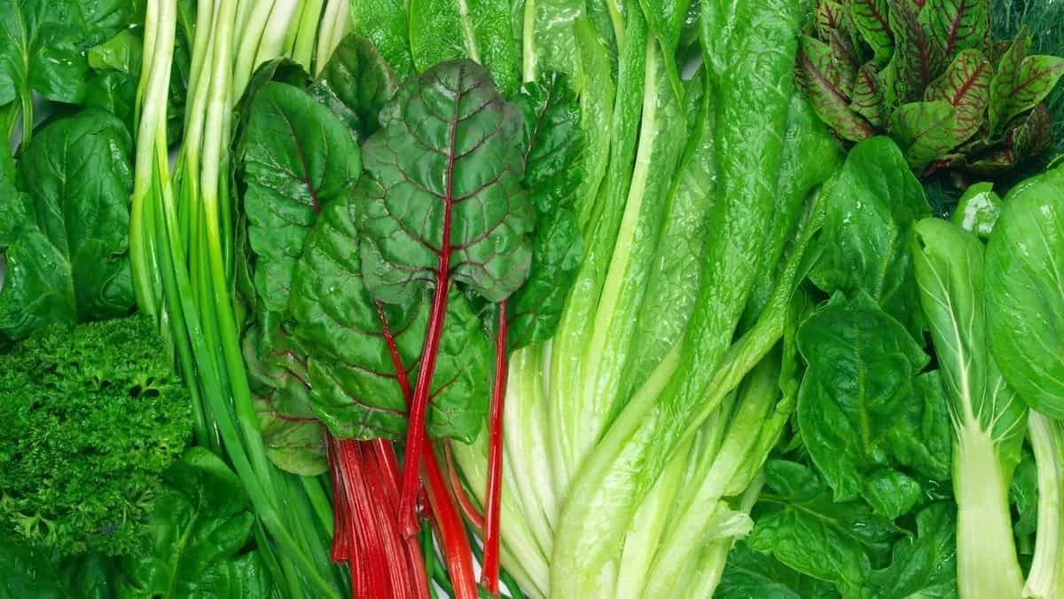 Bitter For Better: The Tale Of Indian Leafy Greens