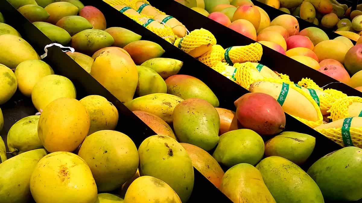 Beyond Alphonso: 8 Varieties Of Mango That Are Native To India