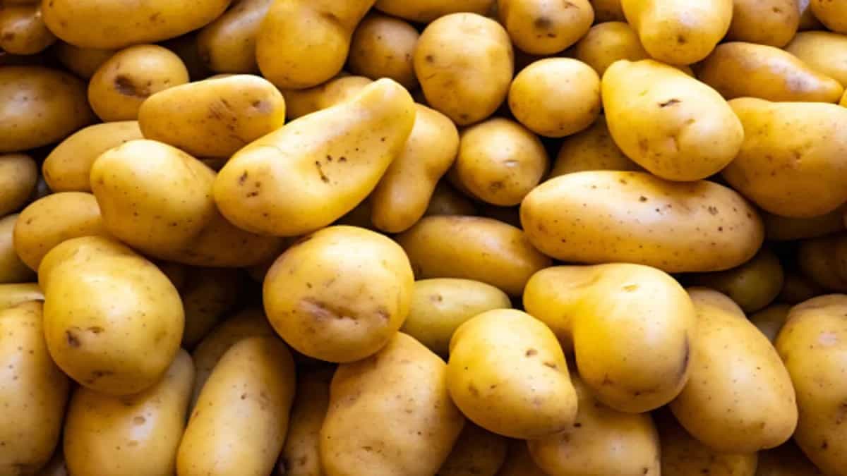 Potatoes For Weight Loss? Here’s Why You Should Have Them