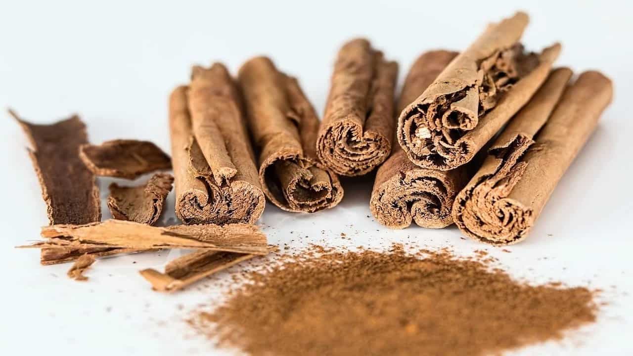 The Oldest Spice: Origins Of Cinnamon 