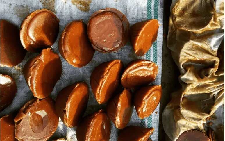 What Makes ‘Nolen Gur’ The Queen Of Jaggery In Bengal?