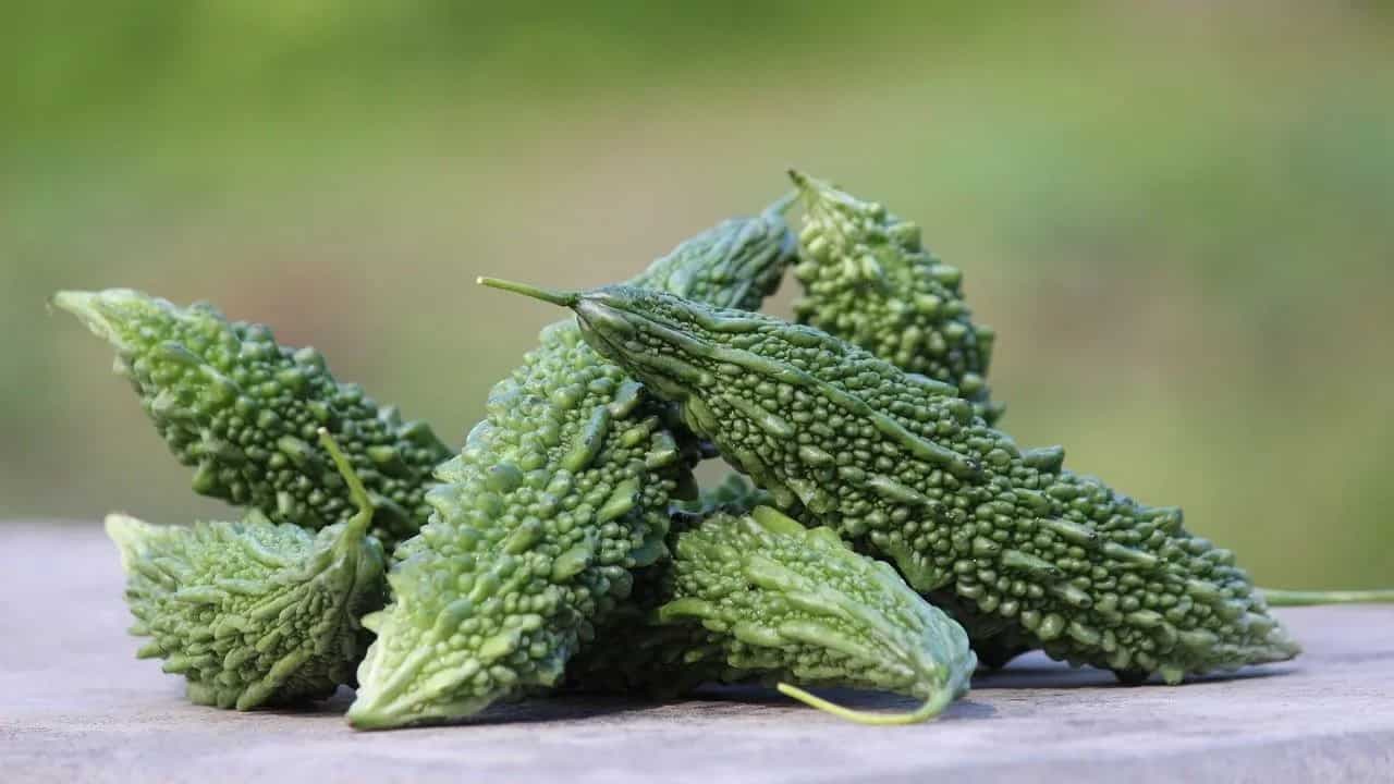 How to Make Masaledar Karela at Home?