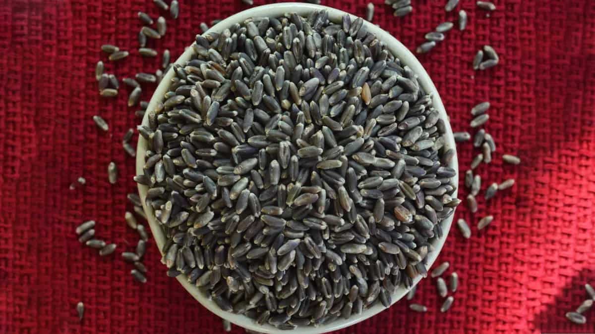 Add Black Wheat Flour To Your Pantry For More Health Benefits 
