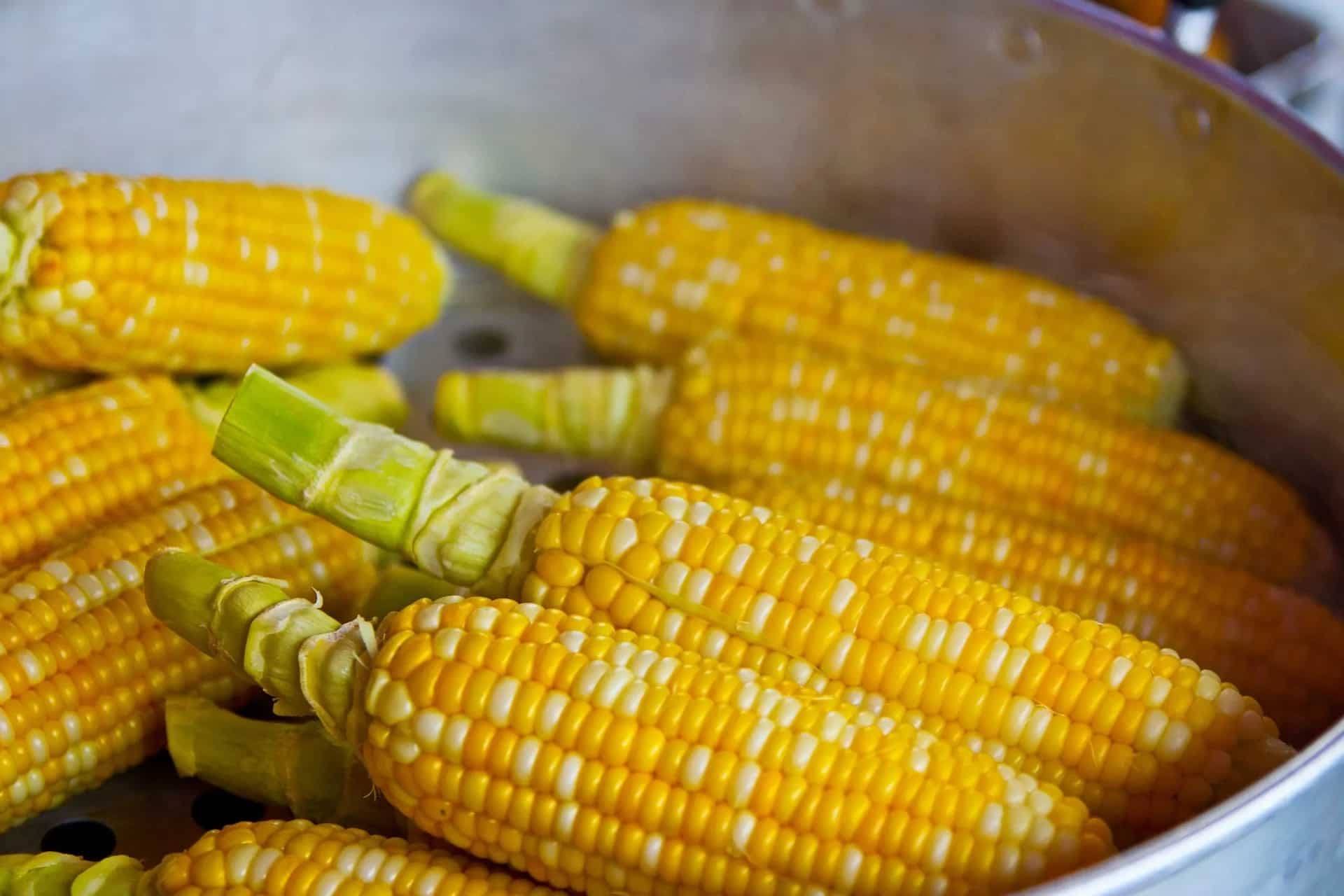 Viral: Chocolate Masala Sweet Corn Has Left The Netizens Cringing