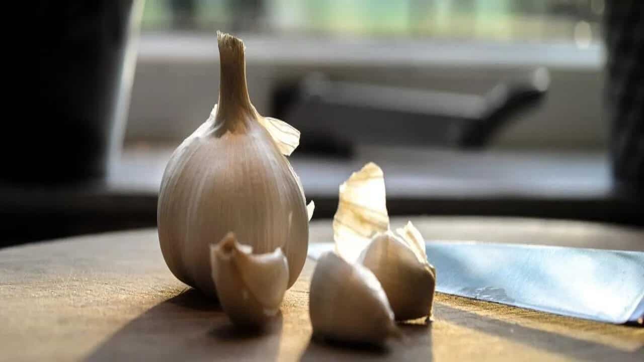 Bizarre: Woman Uses Tik Tok Hack To Clear Her Nose By Stuffing Garlic And We Don’t Know What To Say 