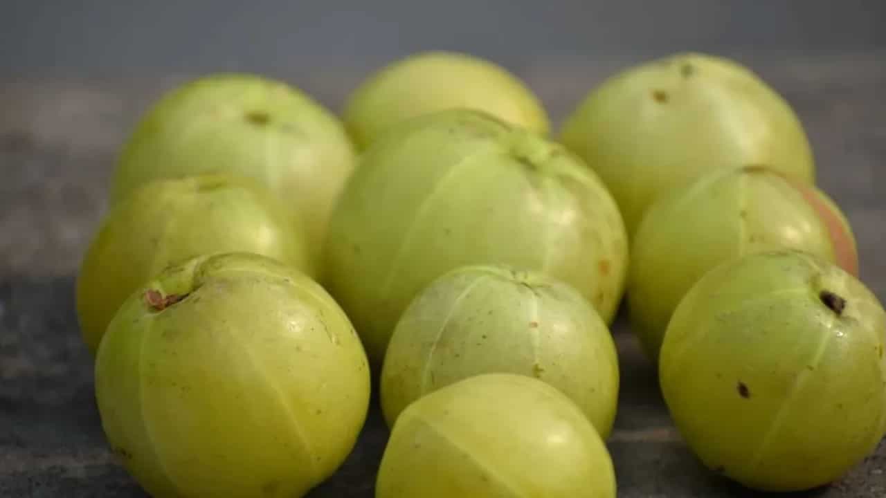 Immunity: This Quick Amla Juice Is Perfect To Fight Infections This Monsoon