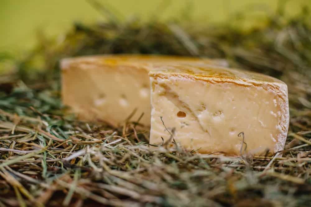 France Halts Making Salers Cheese, Find Out Why 