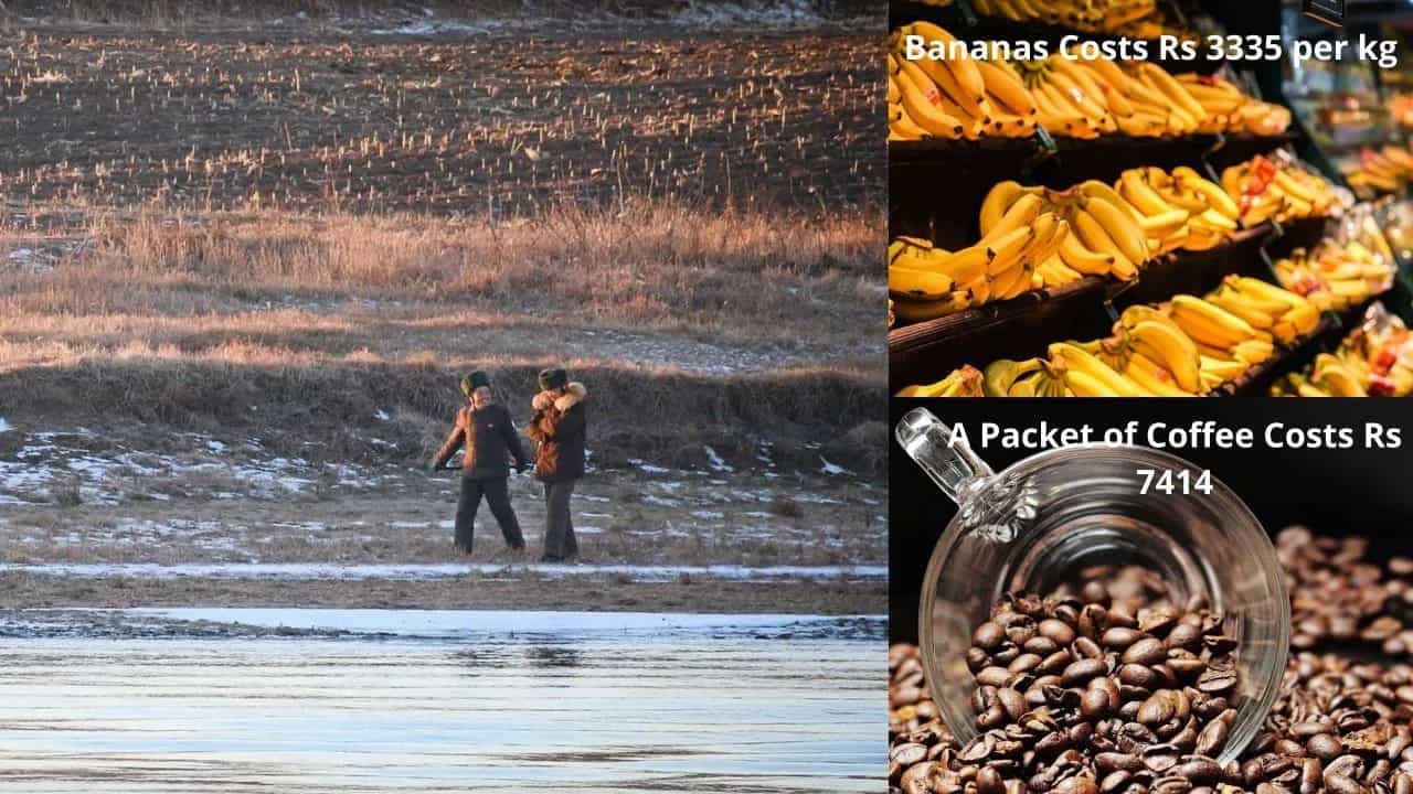 North Korea Facing Severe Food Crisis: Bananas Cost Rs 3,300 Per kg, Coffee's Price Reaches Rs 7000  