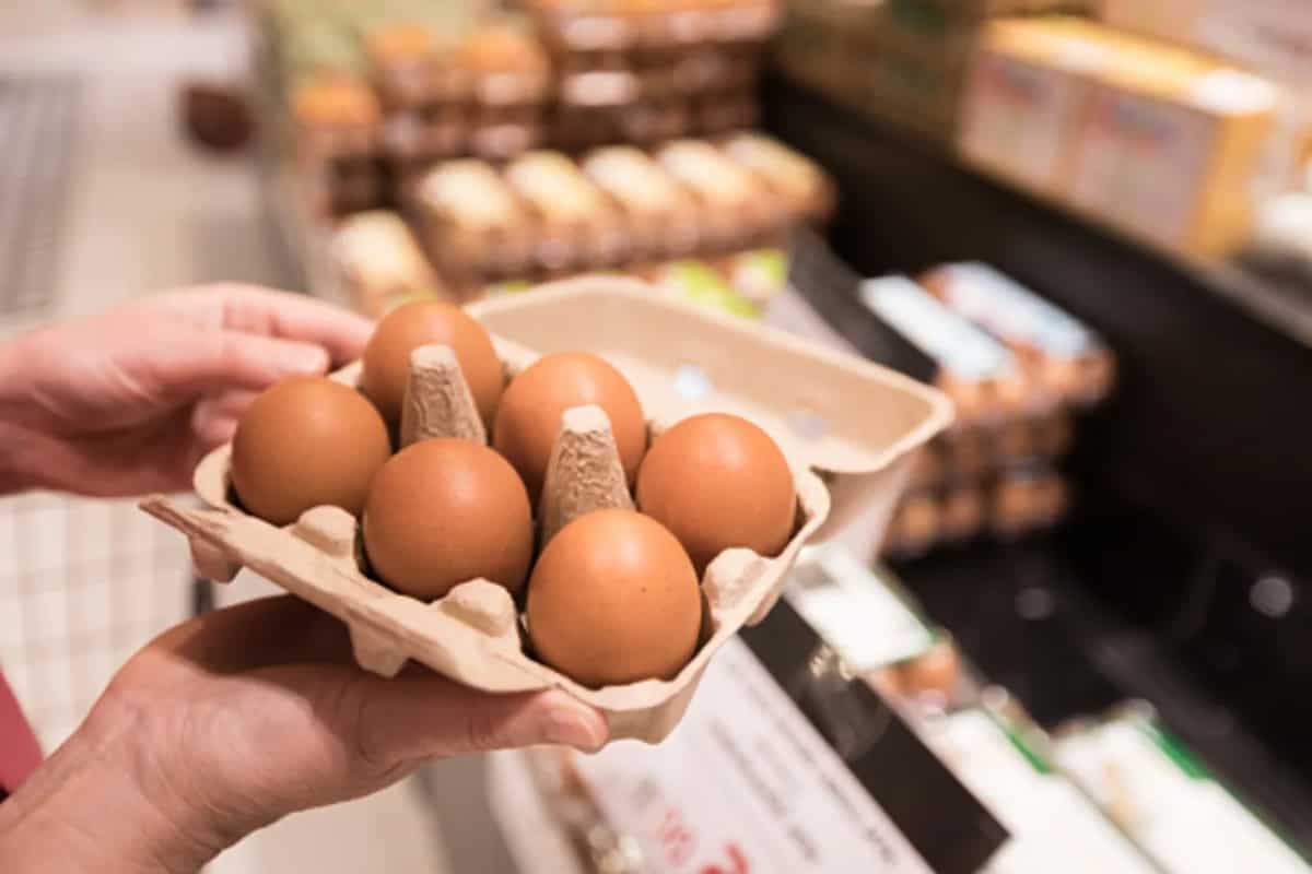 From Gull To Pheasant: 5 Expensive Egg Varieties You Can Try