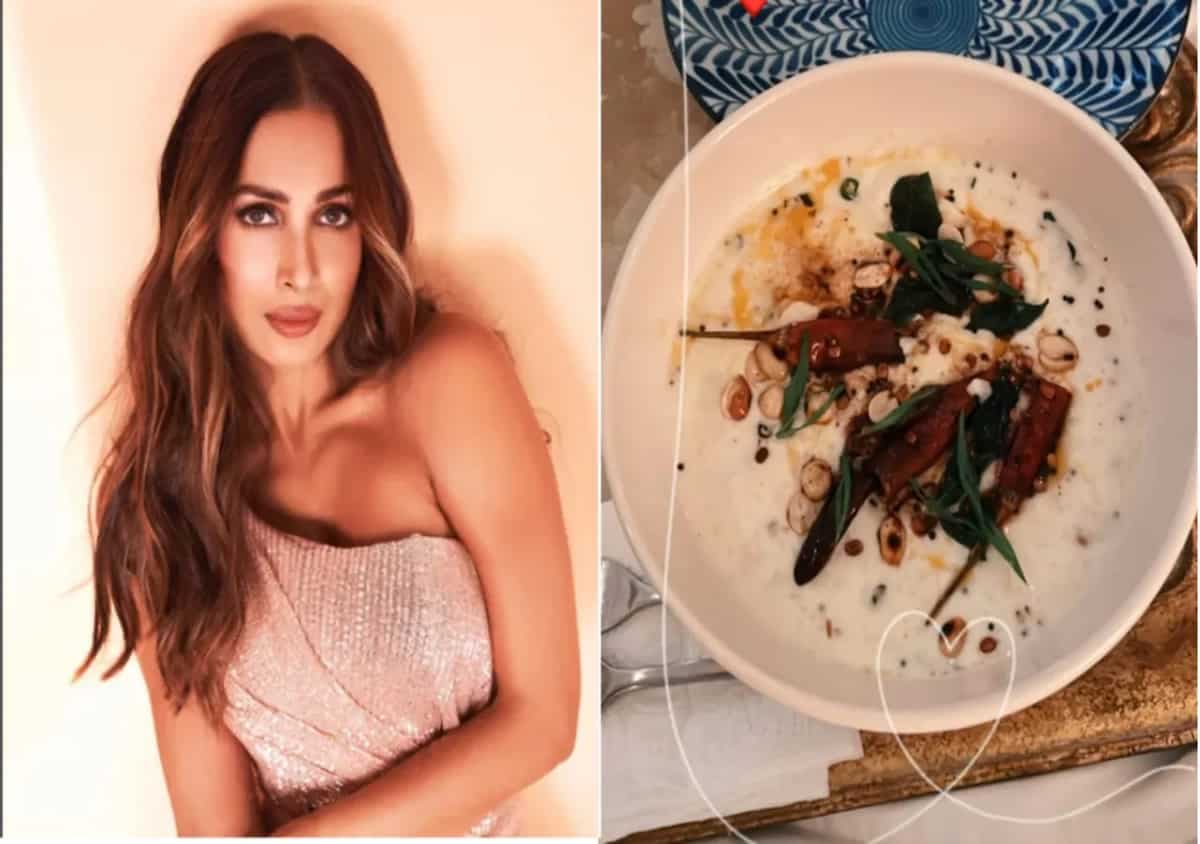 Malaika Arora’s Love For Curd Rice Is All Things Relatable