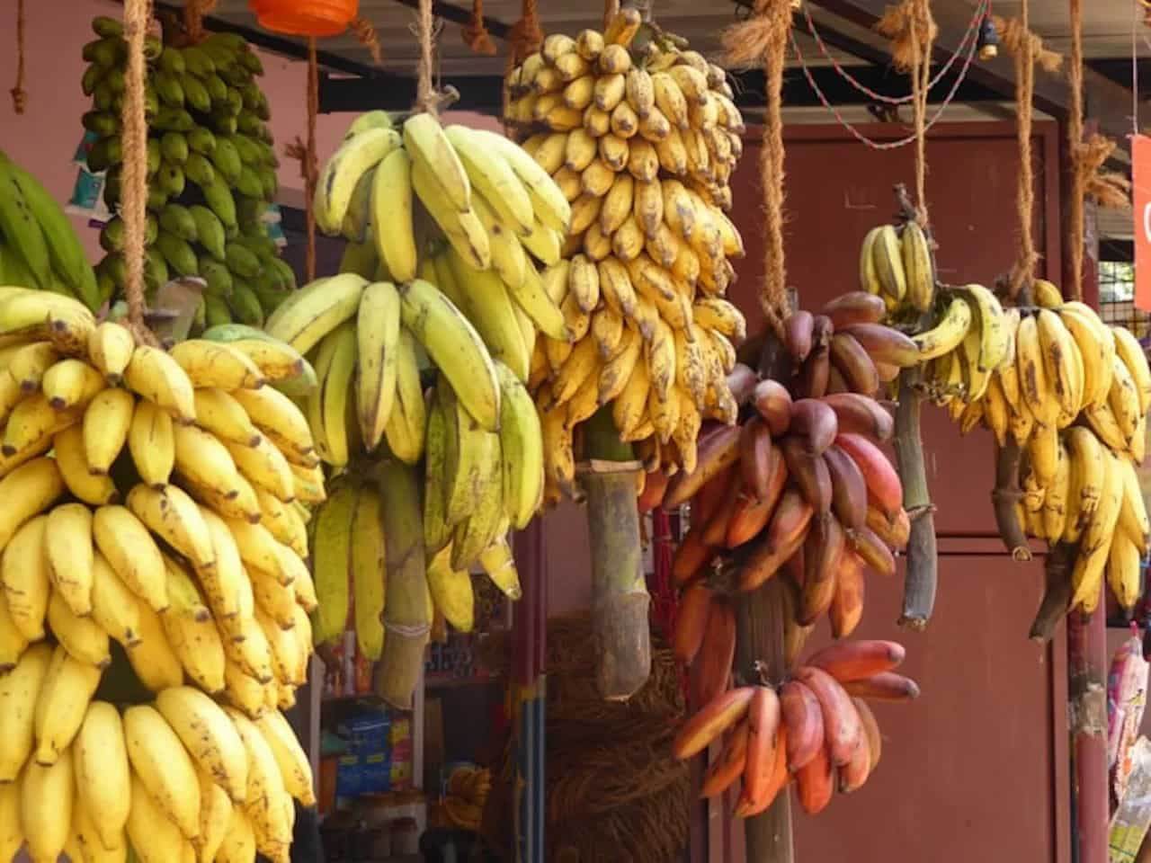 Here's Why Banana Is Considered Sacred In India