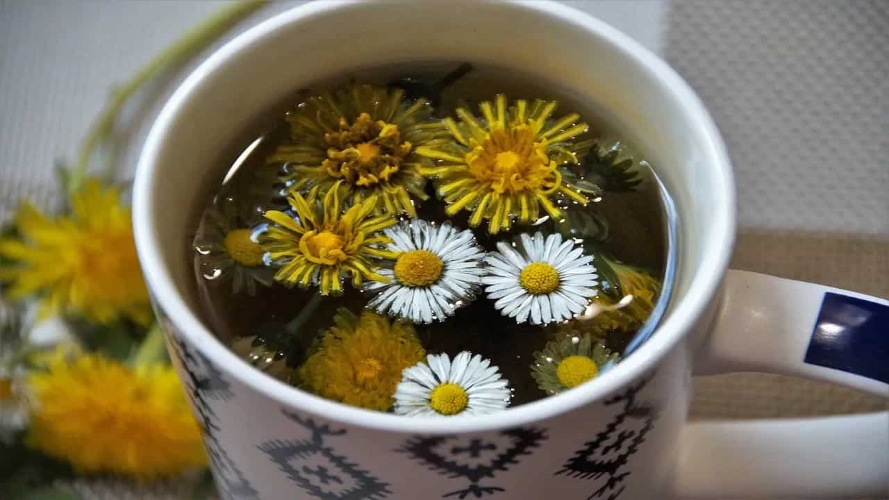 Start Drinking Dandelion Tea And See The Beautiful Change In Health 