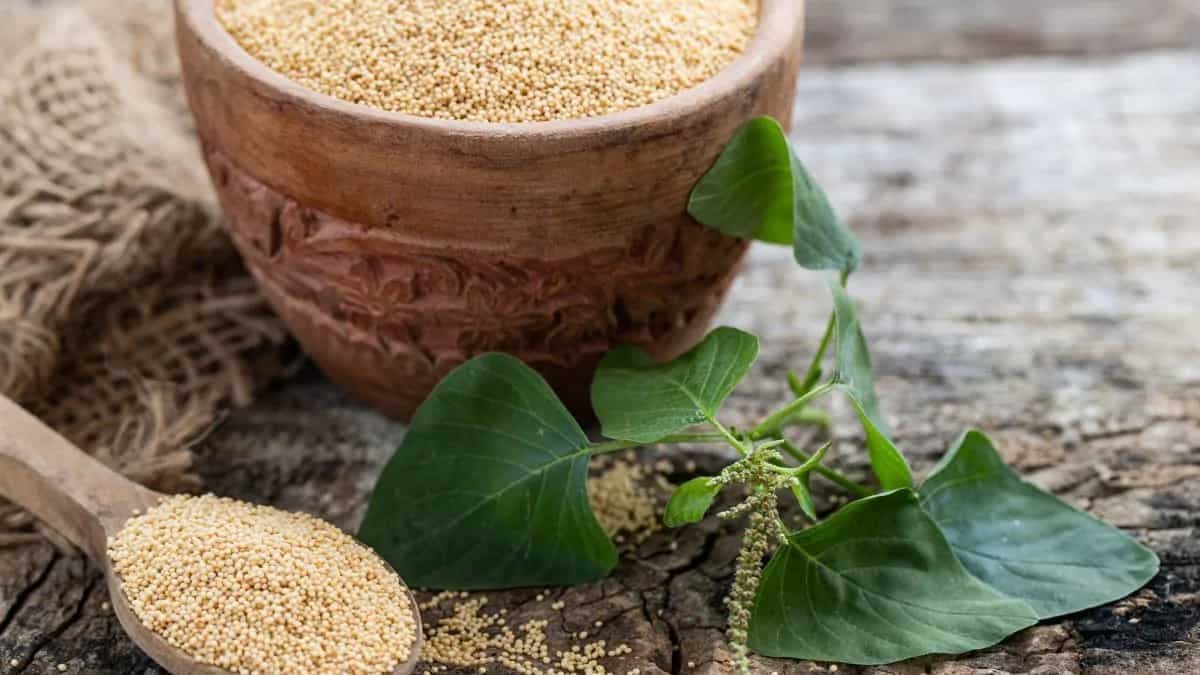 6 Reasons You Should Add Amaranth To Your Diet