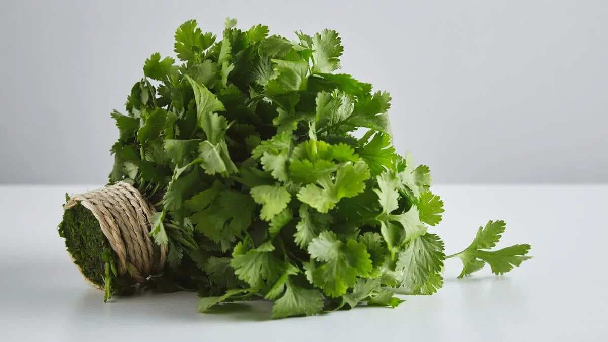 Herbs: A Healthy Way To Enhance The Flavours Of Your Cooking